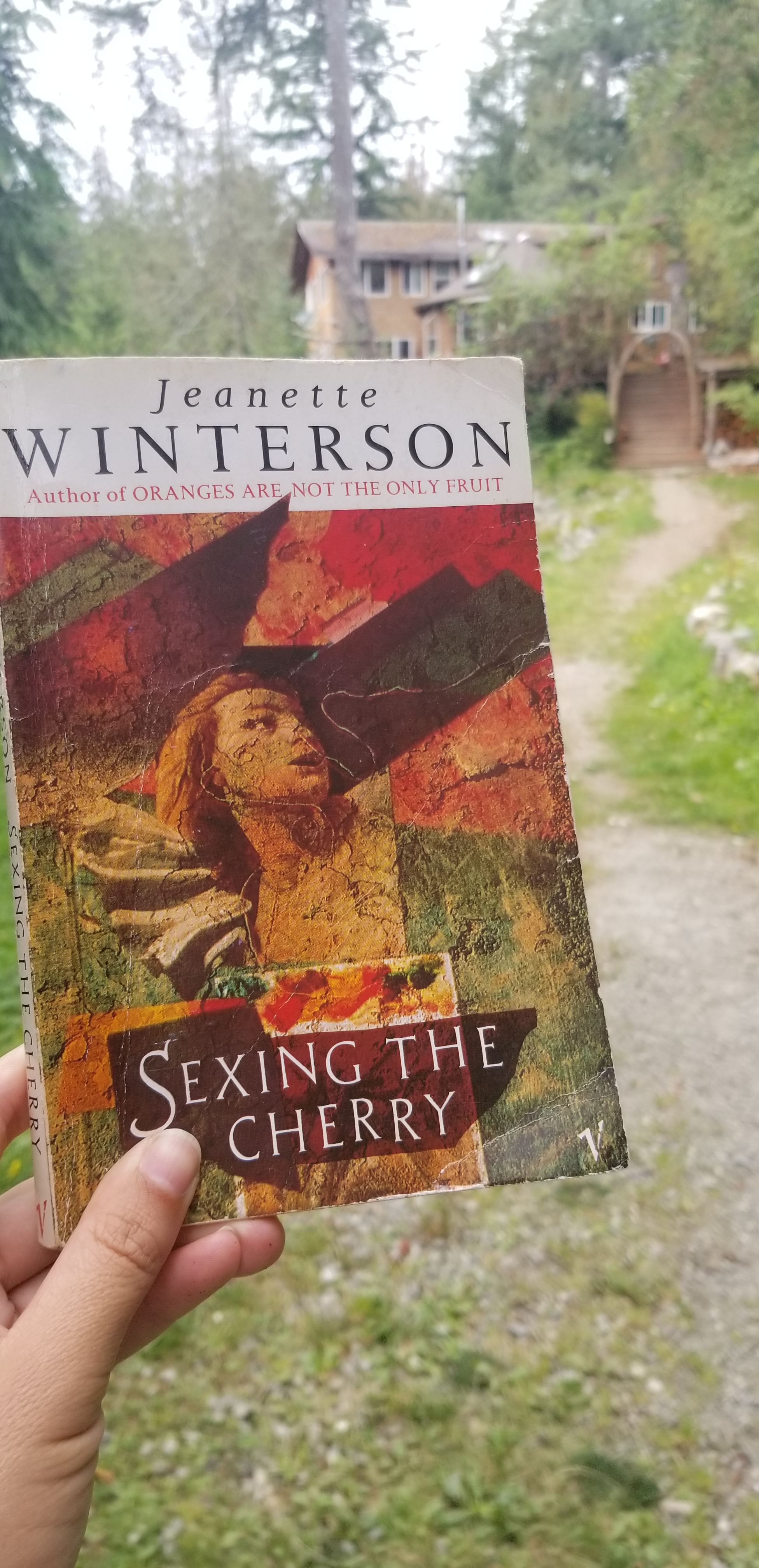 jeanette winterson sexing the cherry